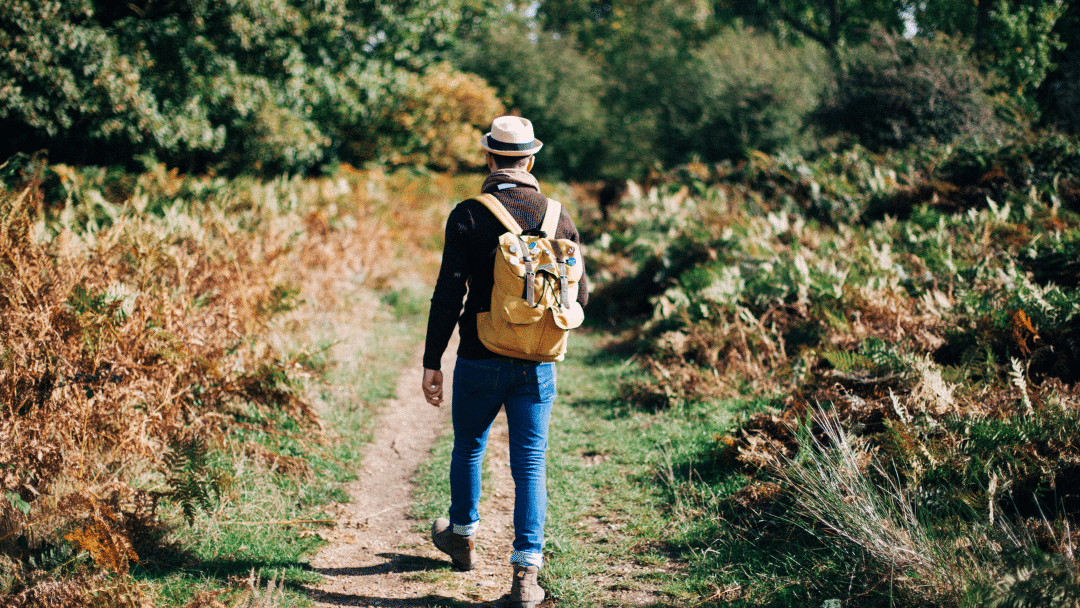 Benefits of Walking for Heart Health